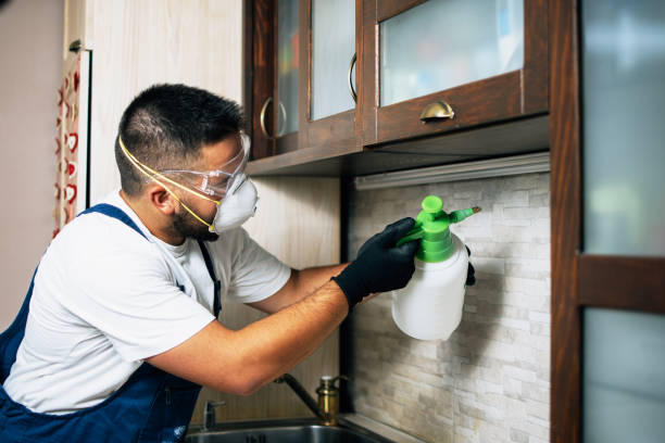 Best Rat Extermination Near Me  in Wyoming, IL