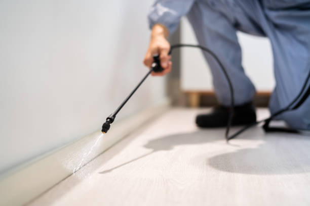Flea Control Services in Wyoming, IL