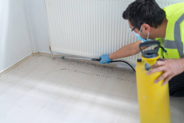 Trusted Wyoming, IL Pest Control Experts